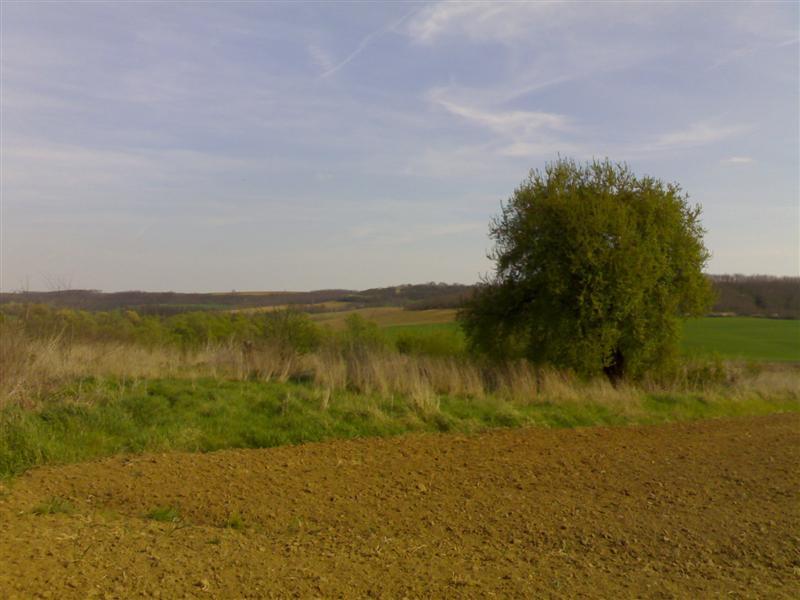 200704091728 .jpg